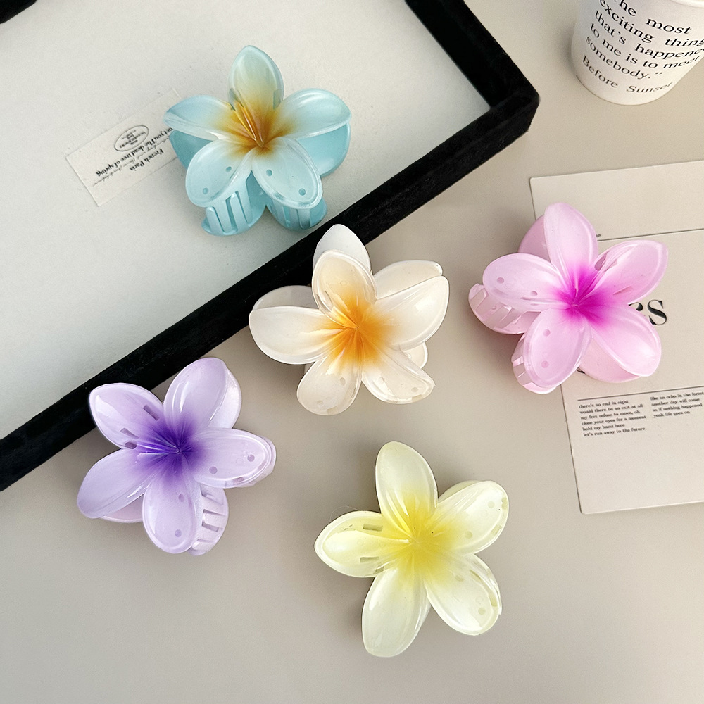 2026 New Vacation Egg Flower H - đánh giá và giá Hair Claw Clip Set